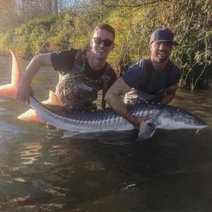 Meet your Posher, Andrew